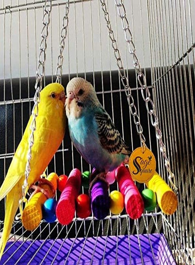 سايج سكوير لعبة أرجوحة خشبية طبيعية مرحة من سيج سكوير، لعبة قفص أنشطة للببغاء، والبادجي، والكوكاتيل، وطيور الحب، والبادجي، وكونيور الشمس، والكناري، والكوكاتو، والمكاو. - Image 2